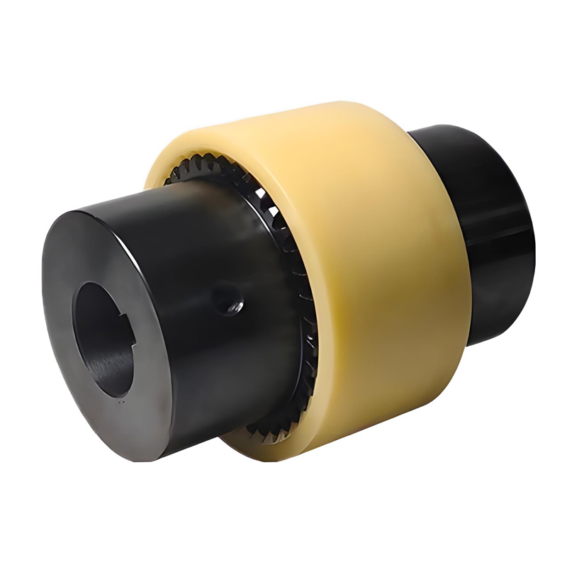 Accouplement d'engrenage de tambour à bague intérieure en nylon RSK-TGL, excellente absorption des chocs